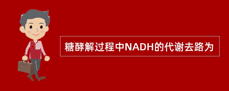 糖酵解过程中NADH的代谢去路为