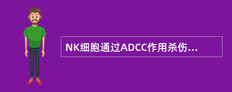 NK细胞通过ADCC作用杀伤靶细胞需要()