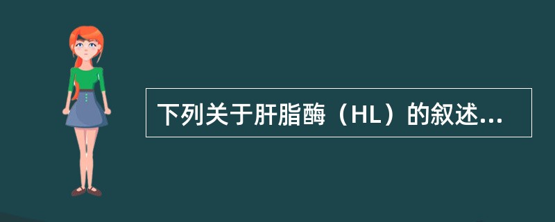 下列关于肝脂酶（HL）的叙述，哪项是错误的（）