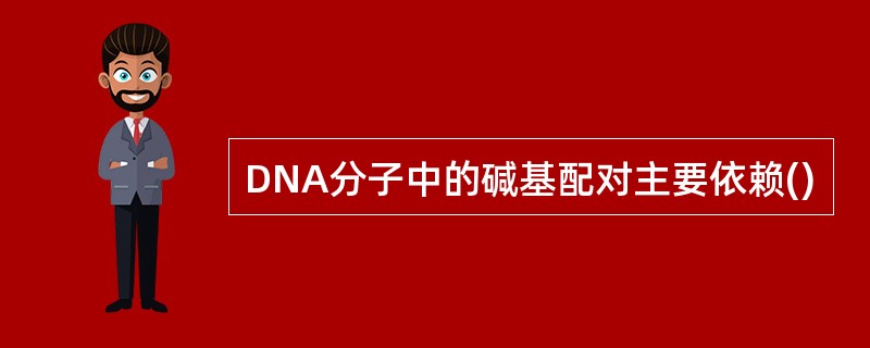 DNA分子中的碱基配对主要依赖()