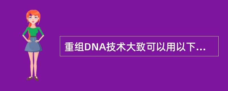 重组DNA技术大致可以用以下几个字简单概括：分（目的基因的分离）、切（限制性内切酶切割目的基因和载体）、接（目的基因和载体连接）、转（连接产物导入受体细胞）、筛（筛选阳性重组子）。将重组DNA导入大肠