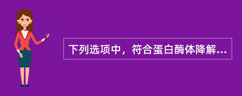 下列选项中，符合蛋白酶体降解蛋白质特点的是()