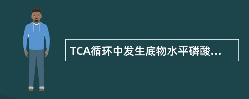 TCA循环中发生底物水平磷酸化的化合物是