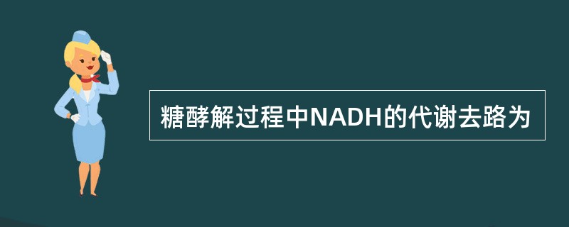 糖酵解过程中NADH的代谢去路为