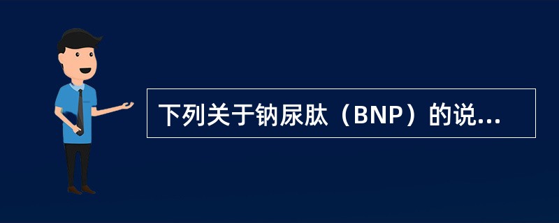 下列关于钠尿肽（BNP）的说法哪项不正确（）