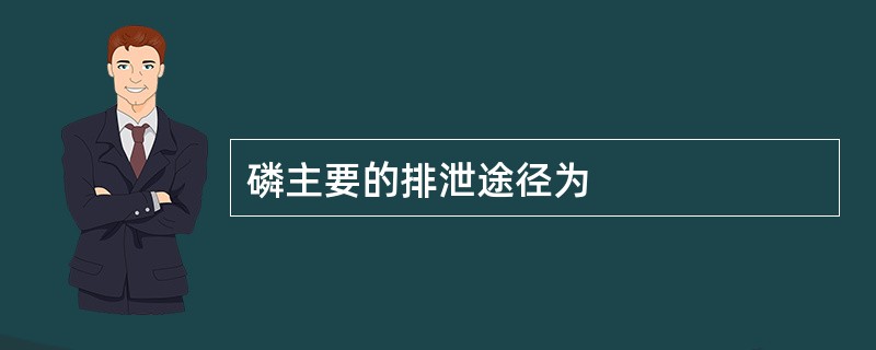 磷主要的排泄途径为