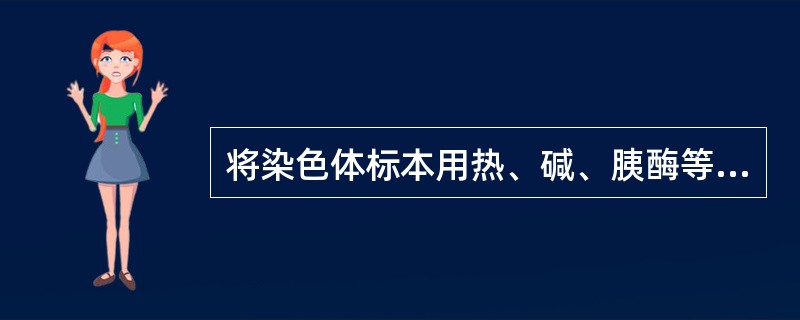 将染色体标本用热、碱、胰酶等预先处理，再用Giemsa染色，显示出（）