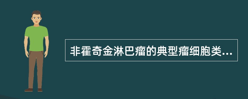 非霍奇金淋巴瘤的典型瘤细胞类型不包括