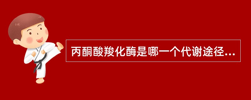 丙酮酸羧化酶是哪一个代谢途径的关键酶