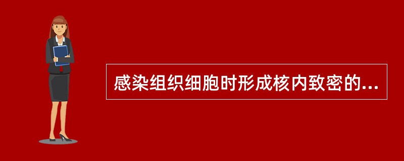 感染组织细胞时形成核内致密的碱性包涵体，形似猫头鹰眼睛，最可能是哪种病毒感染