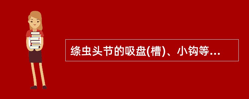 绦虫头节的吸盘(槽)、小钩等结构的主要功能是()