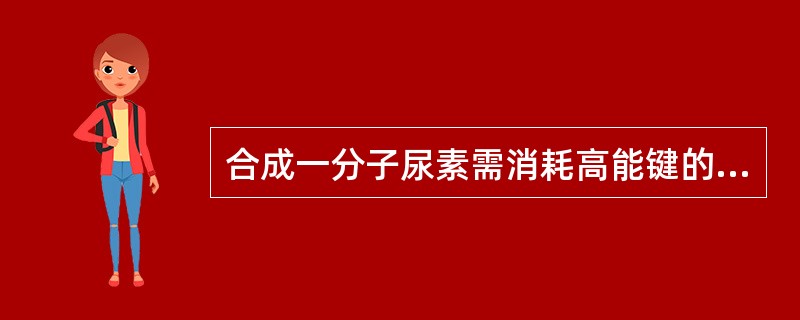 合成一分子尿素需消耗高能键的数目是()