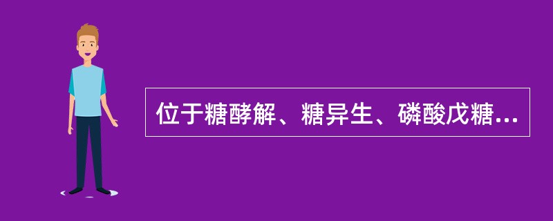 位于糖酵解、糖异生、磷酸戊糖途径、糖原合成和糖原分解各条代谢途径交汇点上的化合物是()