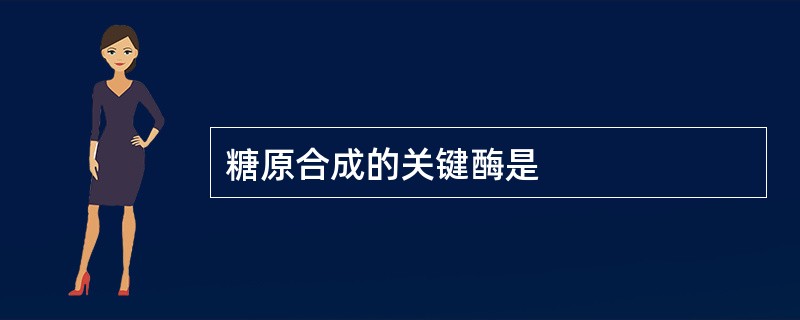 糖原合成的关键酶是