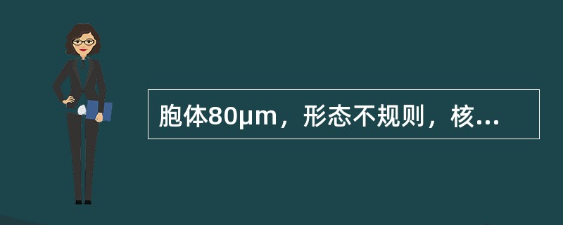 胞体80μm，形态不规则，核多叶扭曲状，染色质粗糙，无核仁，浆内充满紫红色颗粒，边缘有血小板堆集，该特征符合（）