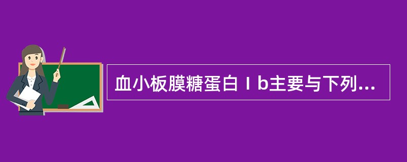 血小板膜糖蛋白Ⅰb主要与下列哪种血小板功能有关