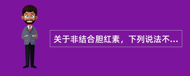 关于非结合胆红素，下列说法不正确的是()