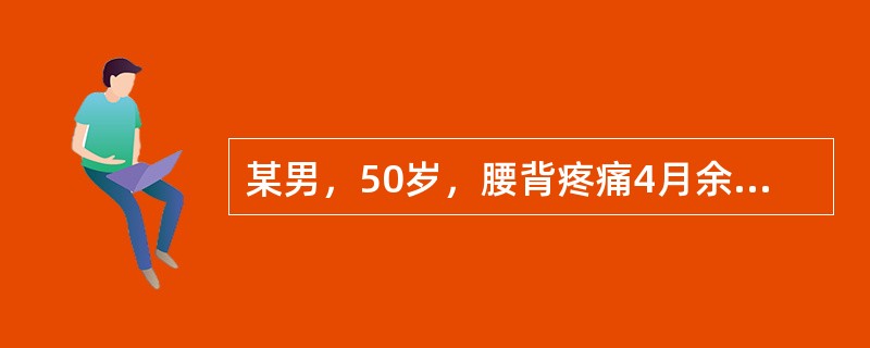 某男，50岁，腰背疼痛4月余，牙龈出血2周。查体：中度贫血貌，肝肋下1cm，脾肋下未扪及。实验室检查：血常规示Hb83g/L，WBC3.9×10<img border="0"