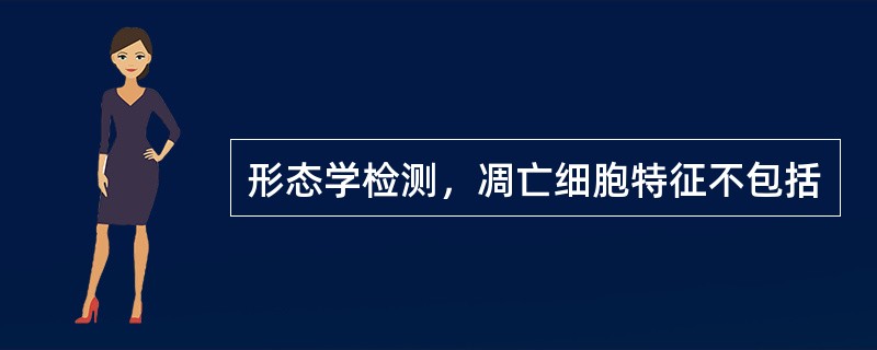 形态学检测，凋亡细胞特征不包括