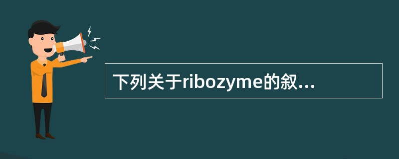 下列关于ribozyme的叙述，正确的是()