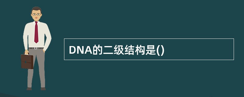 DNA的二级结构是()