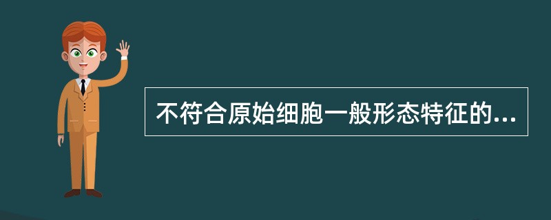 不符合原始细胞一般形态特征的是()