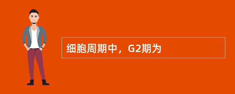 细胞周期中，G2期为