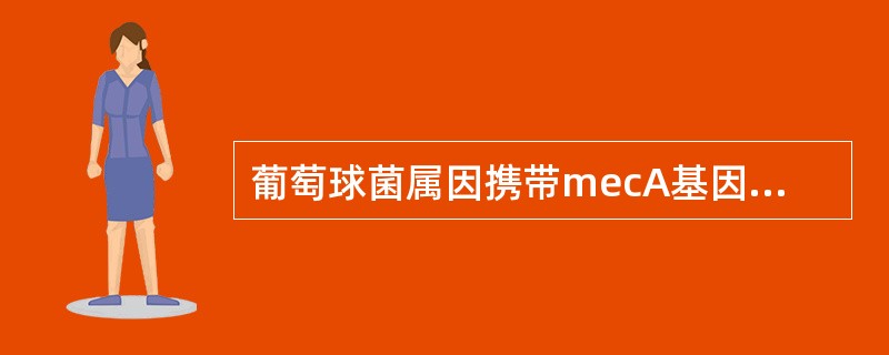 葡萄球菌属因携带mecA基因、产青霉素酶等机制而对β-内酰胺类抗生素耐药。关于检测MRS菌株的试验，下列叙述正确的是