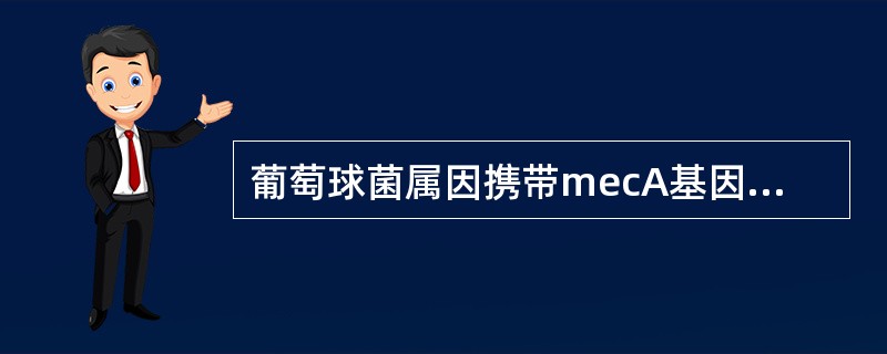 葡萄球菌属因携带mecA基因、产青霉素酶等机制而对β-内酰胺类抗生素耐药。关于MRS菌株检测试验结果，下列叙述正确的是