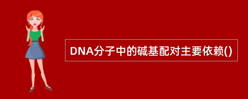 DNA分子中的碱基配对主要依赖()