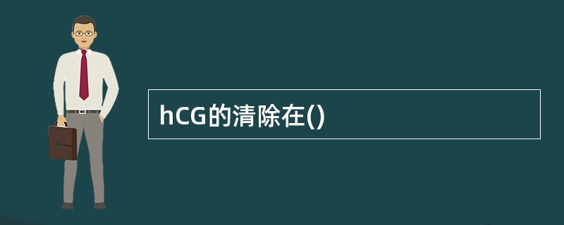 hCG的清除在()