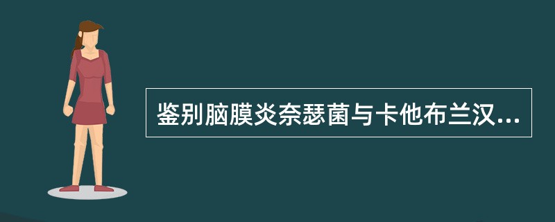 鉴别脑膜炎奈瑟菌与卡他布兰汉菌的相关试验是()