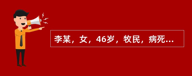 李某，女，46岁，牧民，病死一绵羊，即剥皮后将羊肉放锅内煮后食用，两天后全身无力，并有紫黑色便血，去医院检查诊断为肠炭疽。试分析马某感染的最关键原因()