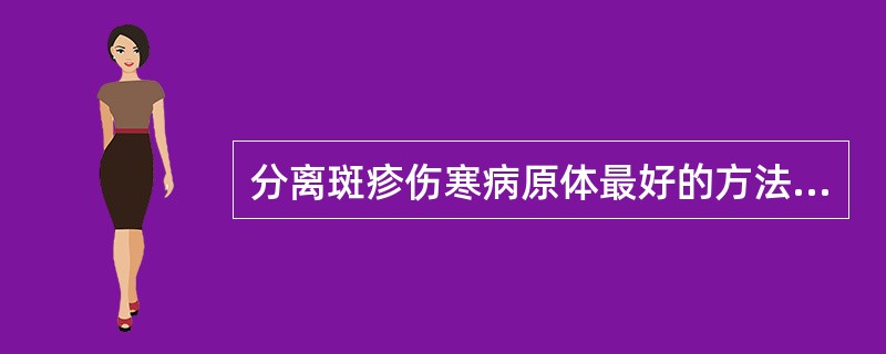 分离斑疹伤寒病原体最好的方法是()