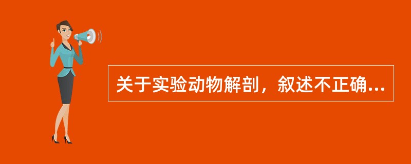 关于实验动物解剖，叙述不正确的是()