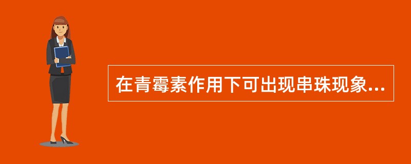 在青霉素作用下可出现串珠现象的需氧芽孢杆菌是()