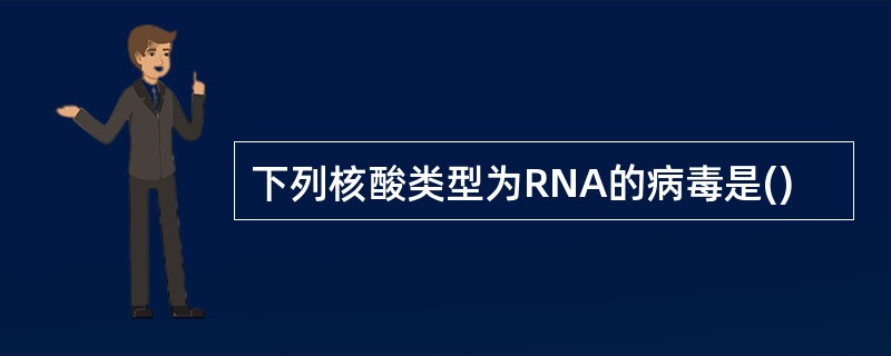 下列核酸类型为RNA的病毒是()