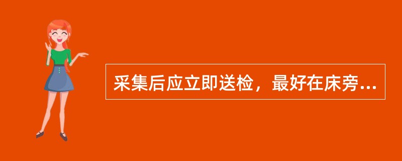 采集后应立即送检，最好在床旁直接接种的标本是()