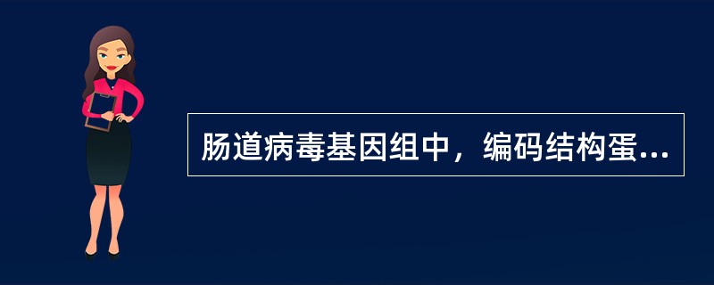 肠道病毒基因组中，编码结构蛋白的基因是()