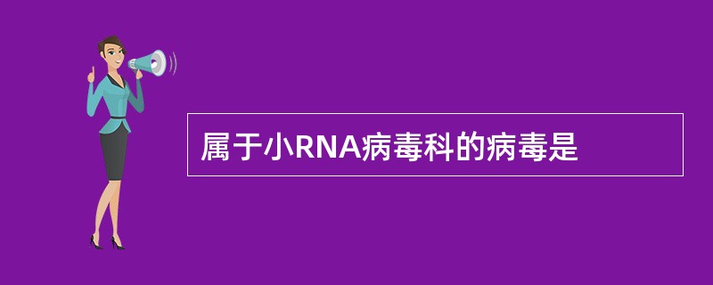 属于小RNA病毒科的病毒是