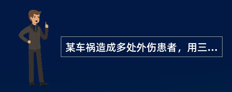 某车祸造成多处外伤患者，用三代头孢抗感染治疗5天后出现肺炎，又用亚胺培南1周后仍高热，痰培养分离出一株革兰阴性细杆菌，氧化酶阴性，麦芽糖阳性，七叶苷阳性，能液化明胶，DNA酶阳性，它可能是