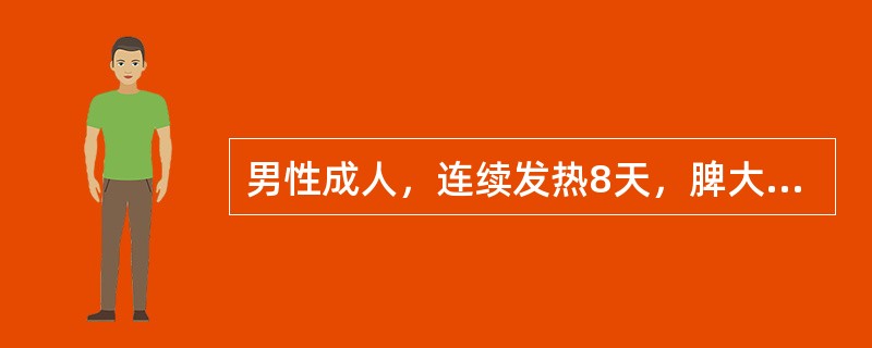 男性成人，连续发热8天，脾大。血白细胞数低于正常值，中性粒细胞0.56，淋巴细胞0.43。相对缓脉，病前一直参加抗洪抢险，他最可能患的疾病是