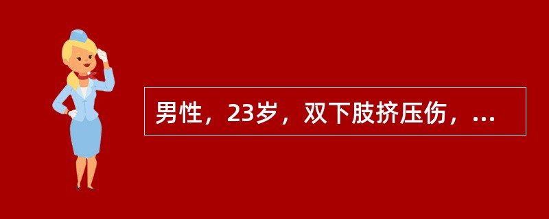 男性，23岁，双下肢挤压伤，神志尚清楚，表清淡漠，很口渴，面色苍白，皮肤湿冷，脉搏112次／分，血压12．0／9．33kPa(90／70mmHg)。毛细管充盈迟缓。血pH值为7．32。其循环系统的病理