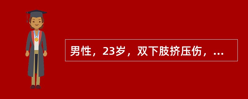 男性，23岁，双下肢挤压伤，神志尚清楚，表清淡漠，很口渴，面色苍白，皮肤湿冷，脉搏112次／分，血压12．0／9．33kPa(90／70mmHg)。毛细管充盈迟缓。血pH值为7．32。该病人的情况是