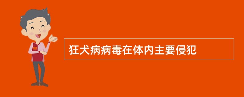 狂犬病病毒在体内主要侵犯