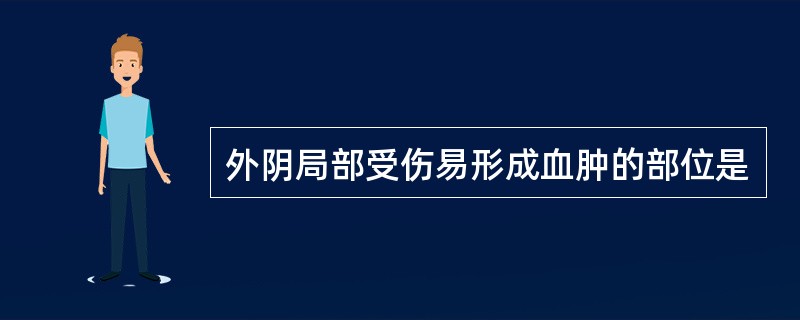 外阴局部受伤易形成血肿的部位是