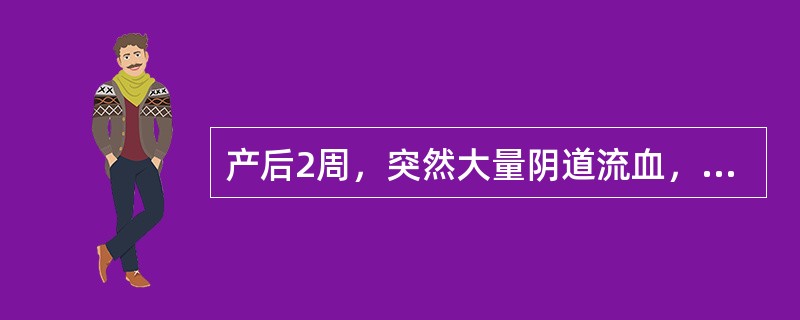 产后2周，突然大量阴道流血，检查子宫大而软，宫口松，有血块填塞，最可能的原因是()