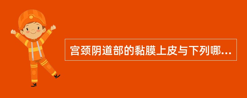 宫颈阴道部的黏膜上皮与下列哪一个器官上皮相同