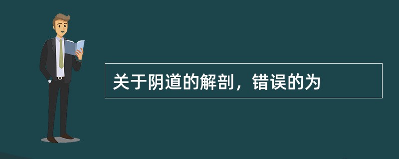 关于阴道的解剖，错误的为