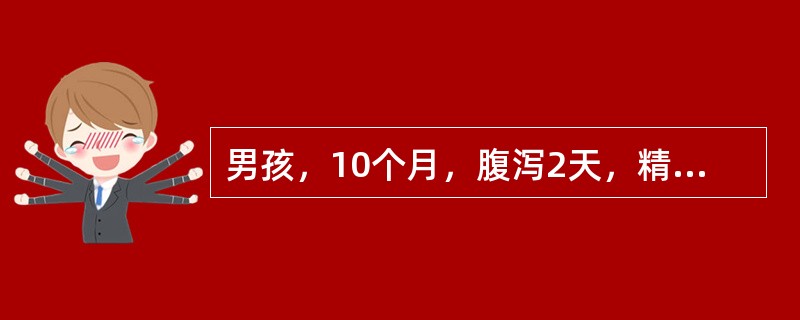 男孩，10个月，腹泻2天，精神萎靡，眼泪少，尿少，呼吸快，唇红，血钠133mmol/L，皮肤弹性差，该患儿可能的诊断为()